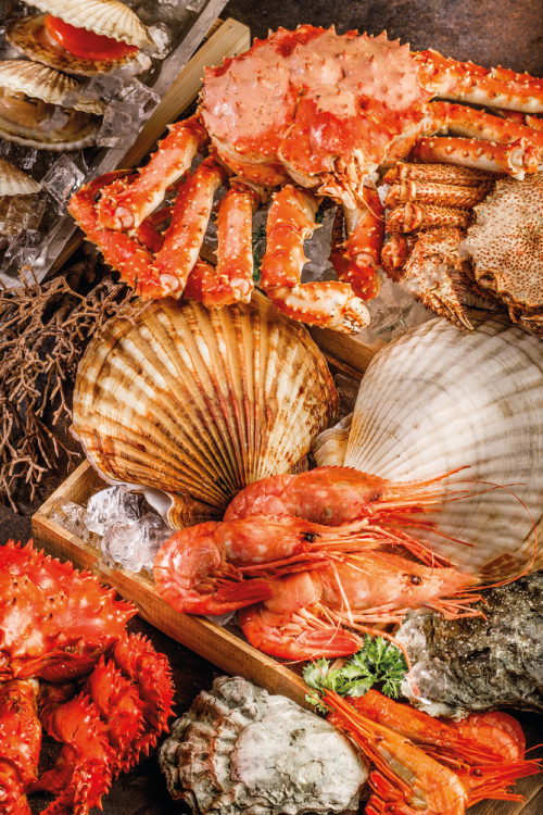 MARISCADA1_Mesa de trabajo 1