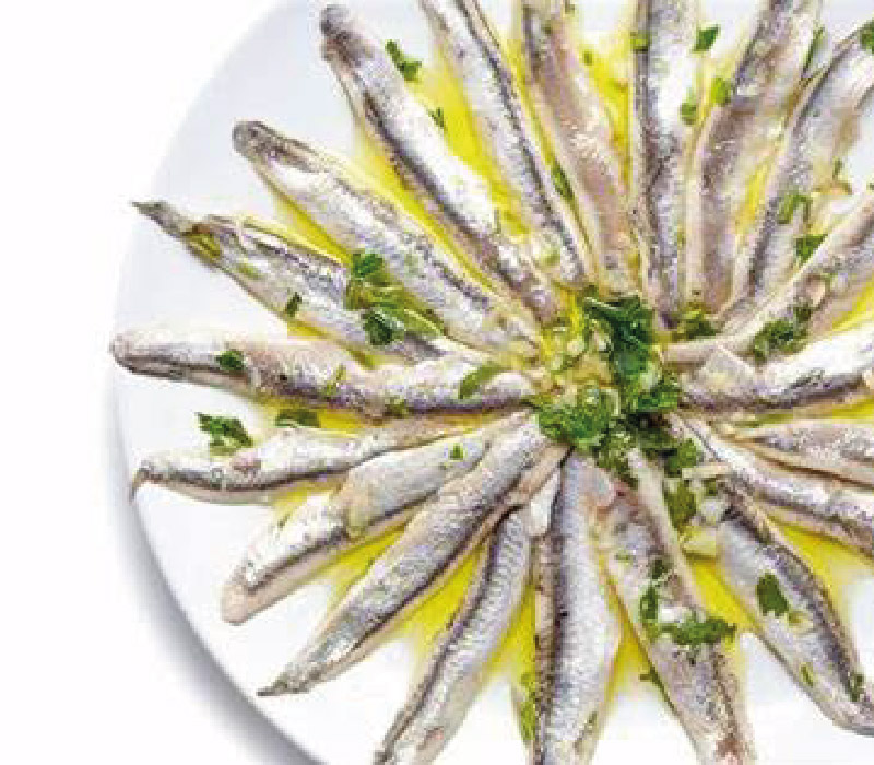 boqueron_Mesa de trabajo 1