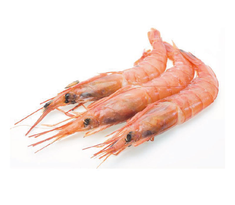 gamba_Mesa de trabajo 1_Mesa de trabajo 1