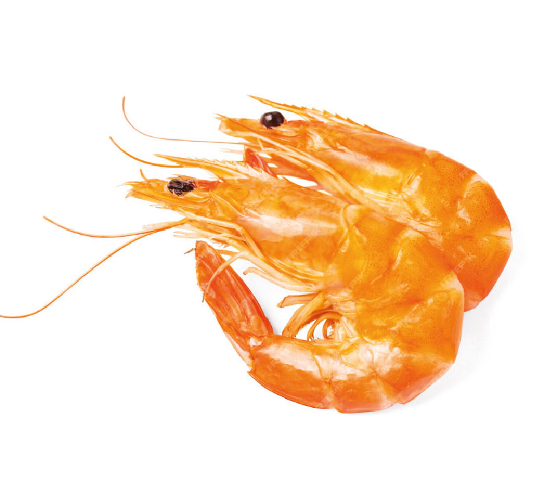langostino_Mesa de trabajo 1